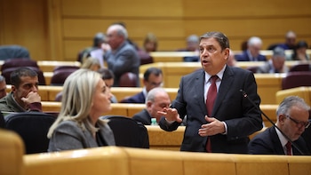 Planas reitera que Mercosur será