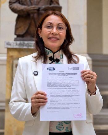 La senadora Patricia Caicedo solicitó ante el Senado la creación de una comisión accidental para la reactivación económica de Santa Marta - crédito Suministrado a Infobae Colombia