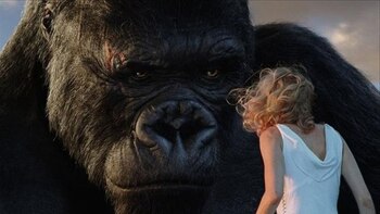 Una nueva historia sobre el