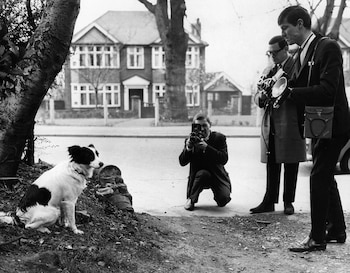 Los fotógrafos toman imágenes de