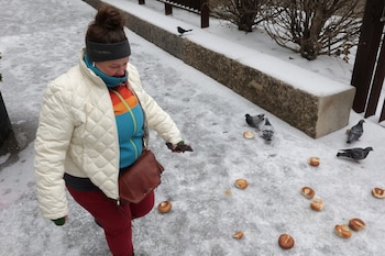 El fenómeno ‘Norte Azul’ traerá