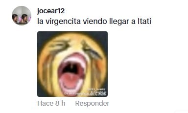 Los memes en los comentarios no tardaron en aparecer (Tiktok)