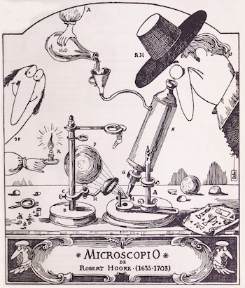 “tratadO BRUTOSKI, la medisina según