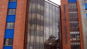 Lernen Sie die weißen Elefanten