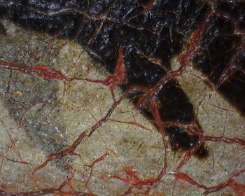 Detalle microscópico del célebre retrato