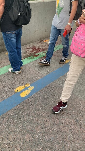 El ingreso a la estación