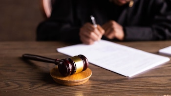 Qué dice el artículo de