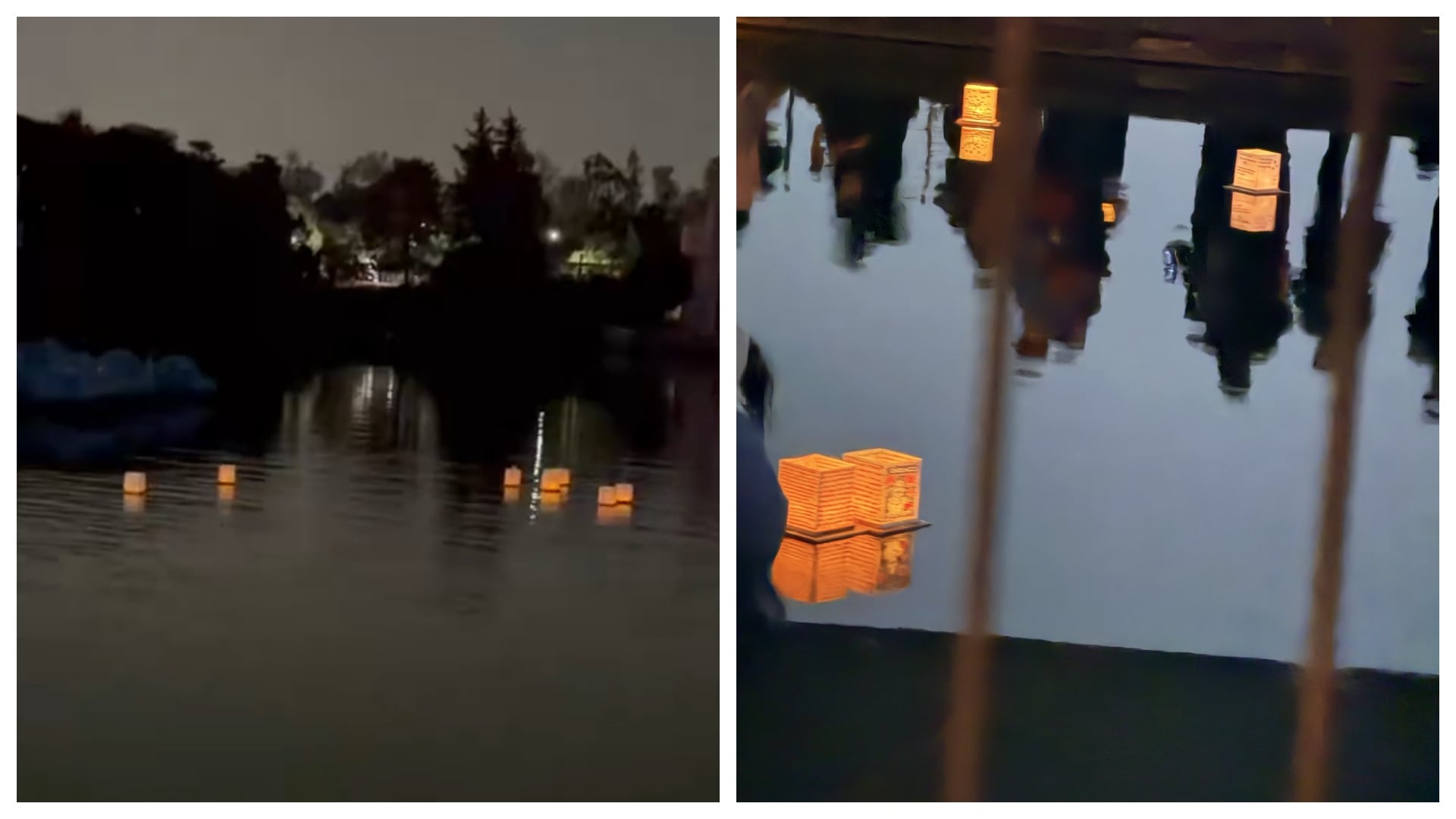 Denuncian falta de lámparas flotantes y largas filas en el Water Lantern Festival de Chapultepec