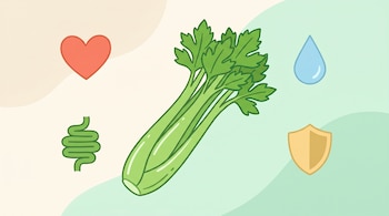 Ilustración plana de un tallo de apio grande y verde, con un corazón rojo, una fibra vegetal enrollada, una gota de agua azul y un escudo dorado, sobre fondo crema y verde.