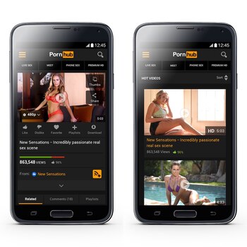 Pornhub dio a conocer sus