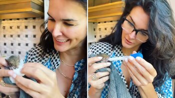 Proceso de rehabilitación que recibió