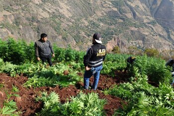 La policía antidroga peruana y