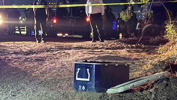 Dentro de la hielera estaba