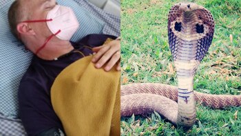 (Foto: Go Fund Me/Pixabay)