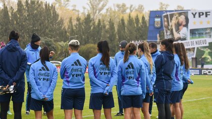 Renunciaron cuatro jugadoras de la selección femenina de fútbol: los motivos y la palabra del entrenador Germán Portanova