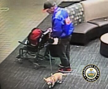 Los policías lograron ver en