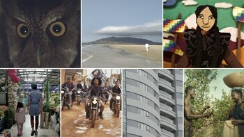 CineMigrante es un colectivo que