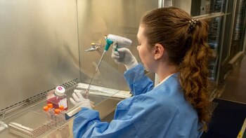 Pepper, el gato de Florida,