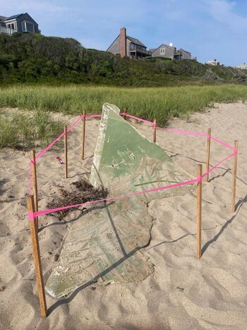 Los escombros de la pala