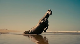 ¿Vale la pena ver “La Odisea” en IMAX? Lo que cambia (y lo que no) en cada pantalla de cine