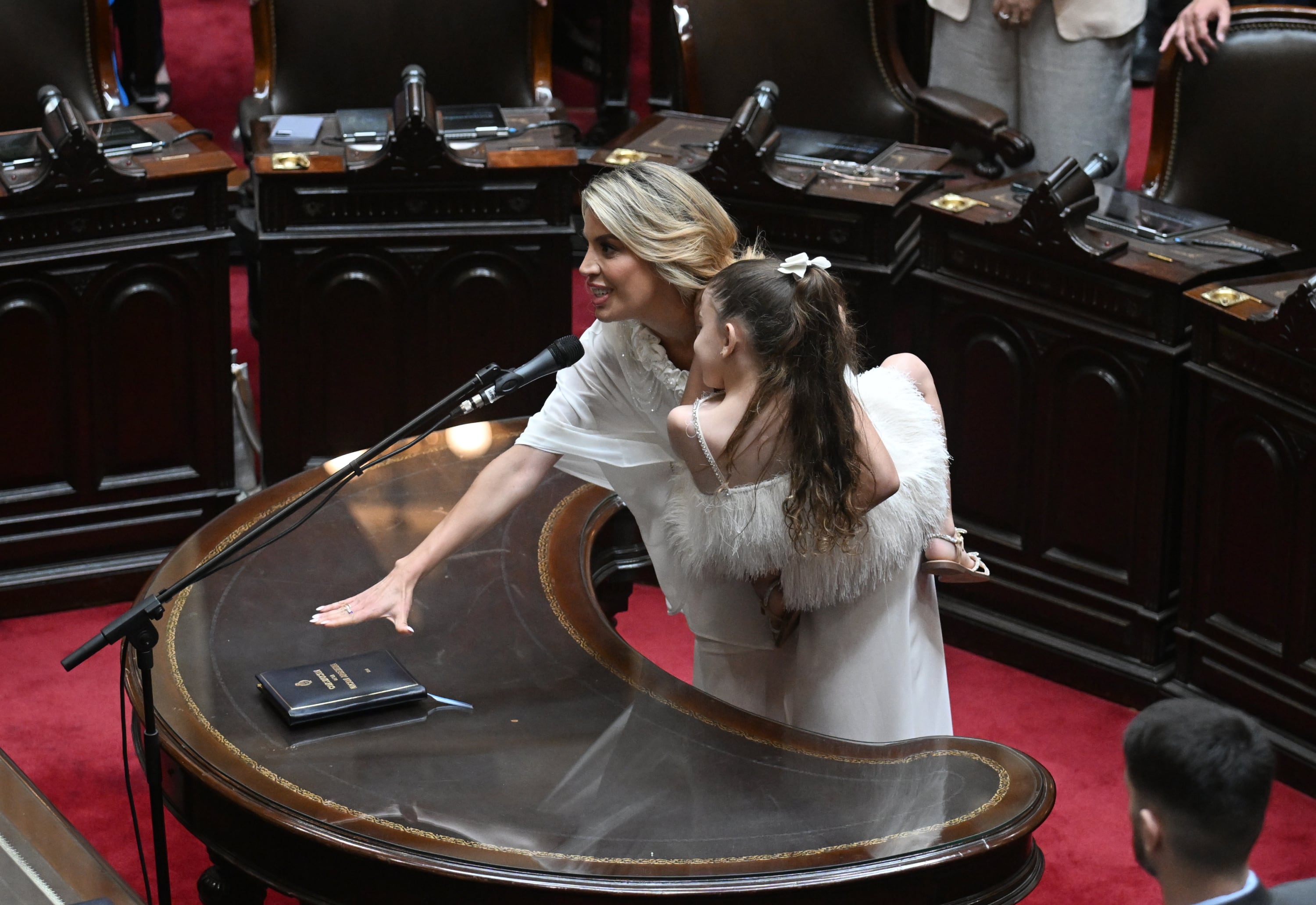 Virginia Gallardo juró como diputada nacional en diciembre