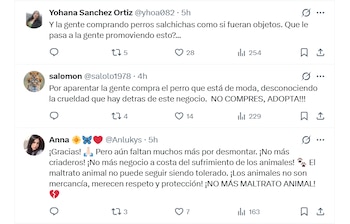 La ciudadanía rechazó estas prácticas y pidió justicia - crédito Andrea Padilla / X