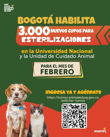 La Alcaldía de Bogotá facilita