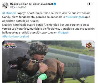 Candy recibió tratamiento oportuno y permanece bajo observación, recuperándose satisfactoriamente tras el incidente - crédito @Ejercito_Div5/ X