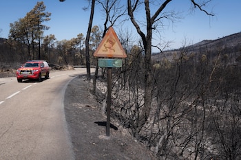 Un vehículo de Bomberos circula por una carretera calcinada por las llamas próxima a la localidad de Calonge (Girona), este domingo. (David Borrat/EFE)
