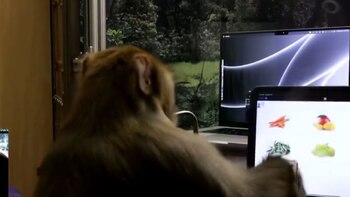 La historia de Pager, el