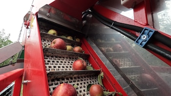 El sistema de vibradores y