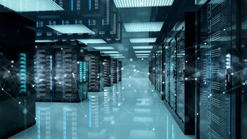 La información resulta primordial para