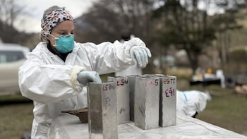 Hantavirus: despliegan un operativo sanitario en Mendoza para rastrear reservorios