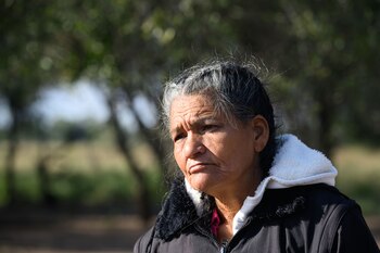 Greenpeace Tierra Nueva