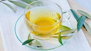 Infusión de hojas de olivo.