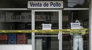 Tienda de "Venta de Pollo" cerrada con cinta amarilla de "Peligro Biológico" y carteles del Ministerio de Salud. Una persona con traje de bioseguridad visible dentro.