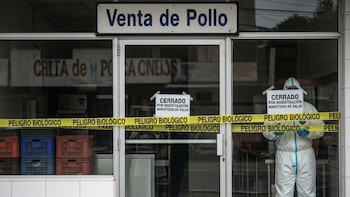 Cierran local de pollo en Costa Rica por casos de infección alimentaria: van 12 positivos a salmonella y un fallecido