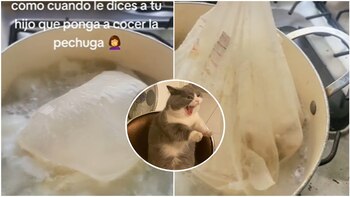 hijo cocina mal un pollo