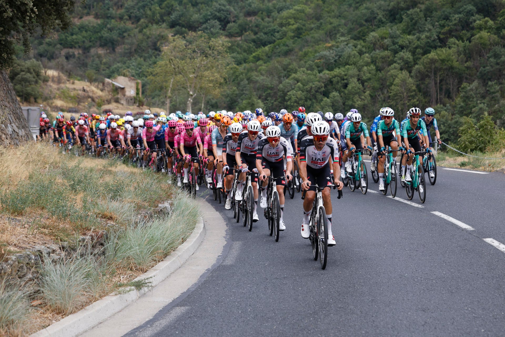 El pelotón, durante la tercera etapa de media montaña de la Vuelta a España 2026 (EFE/ Javier Lizón)