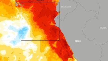 49% de probabilidades de que