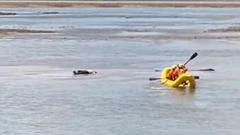 Testigos reportaron erróneamente la presencia