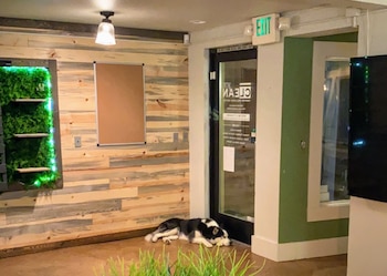 La tienda de Kratom de