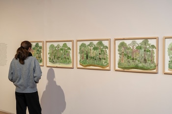 Persona de espaldas con un teléfono móvil en la mano fotografiando una pared con doce dibujos de árboles enmarcados con madera
