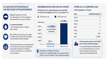 Anchoíta patagónica: recursos que podría generar