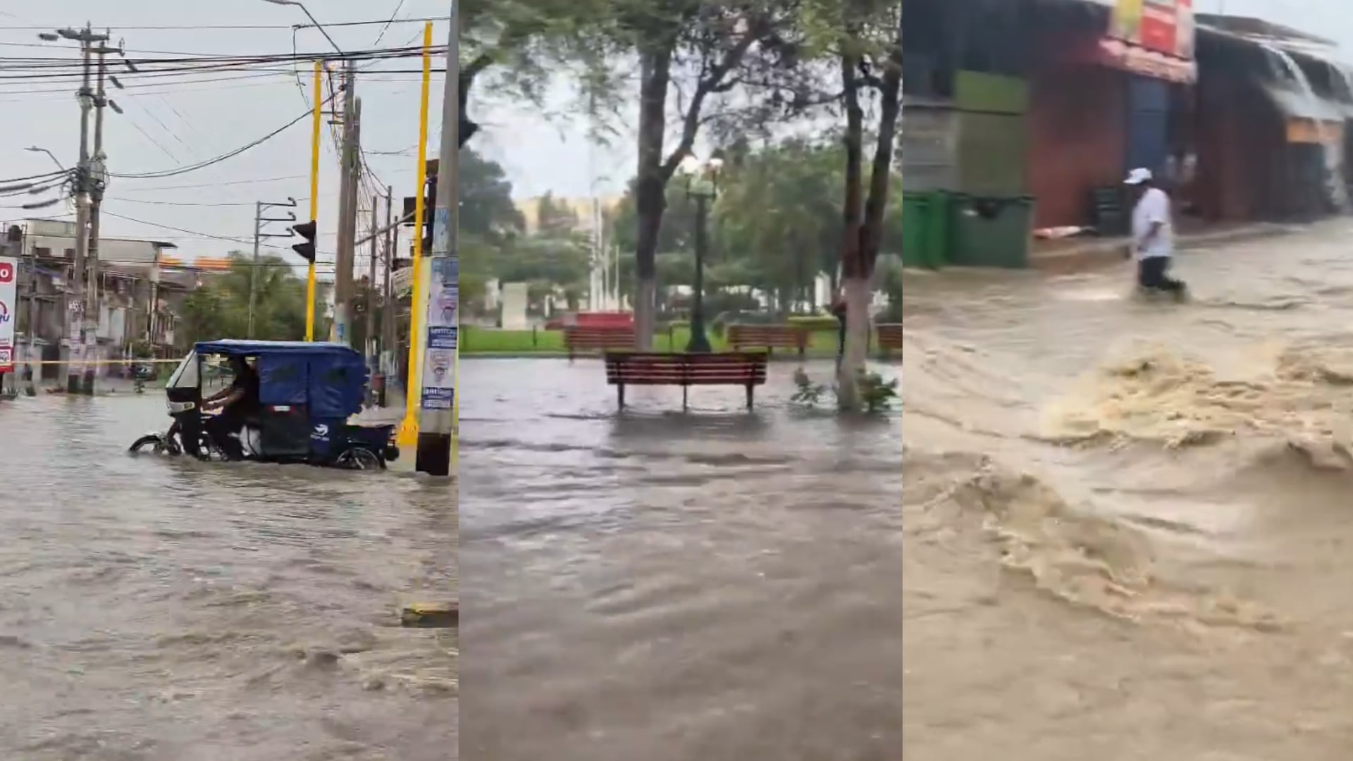 Videos impactantes de las lluvias en Piura: calles inundadas, vehículos varados y agua que ingresa a viviendas en varias zonas de la región