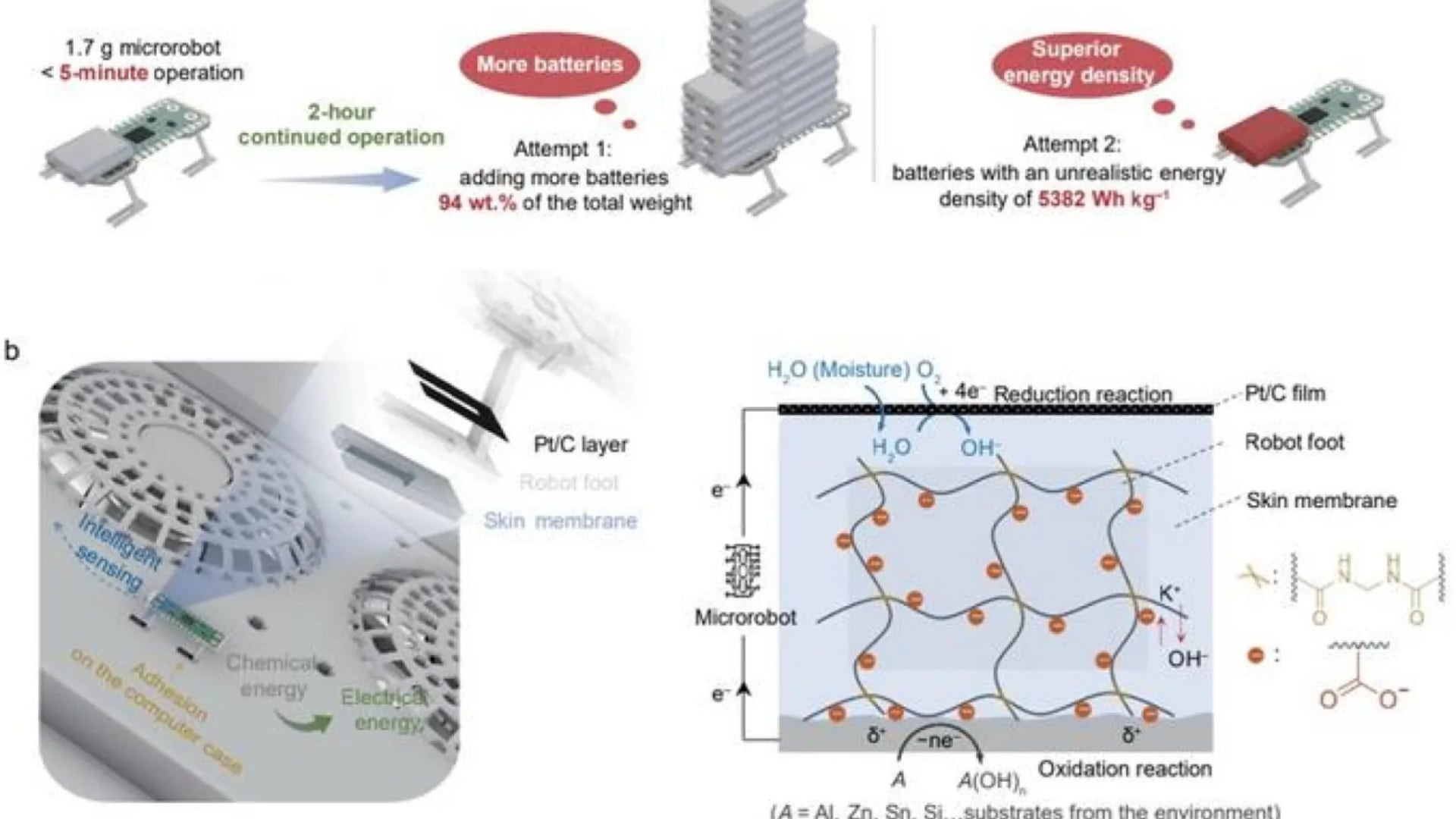 Diagrama de la membrana polimérica electroquímica creada por la Universidad Fudan. (Science China Press)