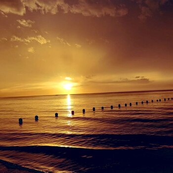 La relativa tranquilidad del confinamiento ha sido aprovechada por los piratas modernos (Foto: Twitter@webcamsdemexico)