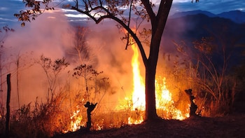 Incendios forestales en Colombia, hoy 1 de septiembre, EN VIVO: controlaron dos incendios en Bello y sigue la atención en el cerro Quitasol