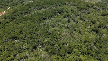 Pueblos indígenas de Campeche exigen cumplir sentencia histórica de la Suprema Corte contra plaguicidas que afectan el agua