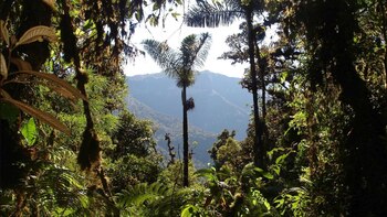 Hogar de especies como el